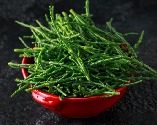 Άγριο κρίταμο 