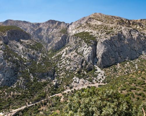 Όρος Κέρκης