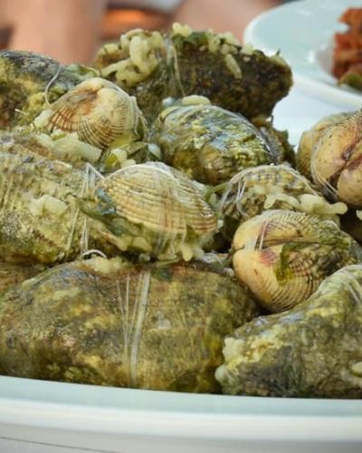 Οστρακοειδή Καλλονής 