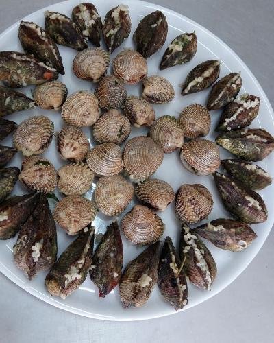 Οστρακοειδή Καλλονής 